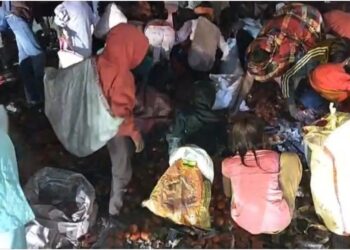 Truck Overturns in Patna, Residents Rush to Loot Tomatoes Causing Owner Rs 3 Lakh Loss