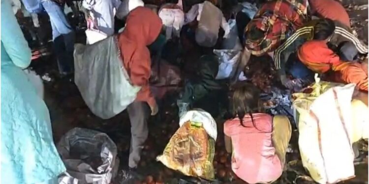 Truck Overturns in Patna, Residents Rush to Loot Tomatoes Causing Owner Rs 3 Lakh Loss