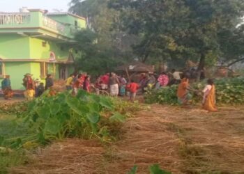 Bihar Elections: Family Beaten Up in Gopalganj for Becoming BJP Polling Agents, Six RJD Workers Booked