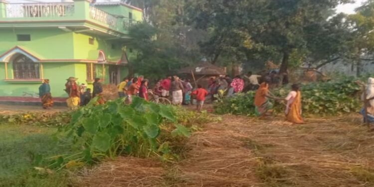 Bihar Elections: Family Beaten Up in Gopalganj for Becoming BJP Polling Agents, Six RJD Workers Booked