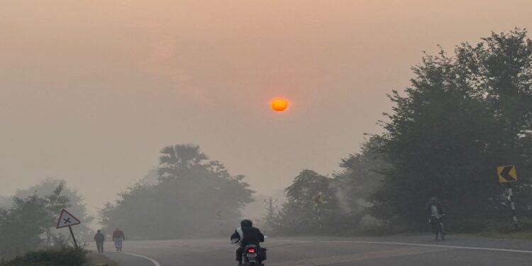 Morning Fog and Cold Nights Persist as Cold to Tighten After January 20