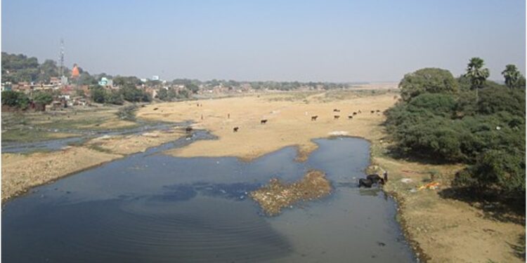Gayaji to Welcome Grand Biodiversity Park on Phalgu River, Set to Boost Tourism and Recreation