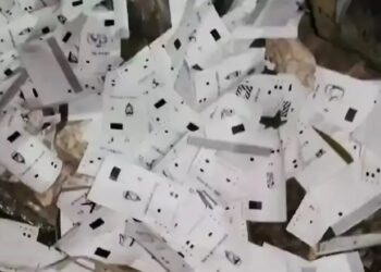 VVPAT Slips Found on Siwan Roadside Amid Bihar Elections, Officials Say No Votes Affected