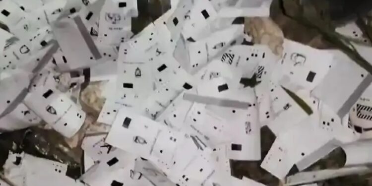 VVPAT Slips Found on Siwan Roadside Amid Bihar Elections, Officials Say No Votes Affected
