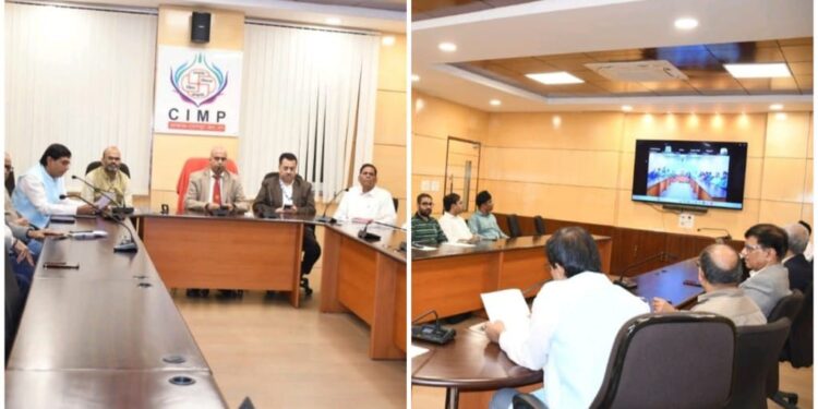 CIMP Hosts Online Management Case Conference 2025, Spotlighting Sustainability and AI in Business Education