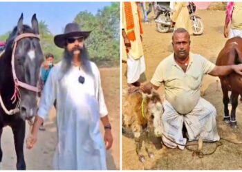 What’s Drawing Record Crowds to Sonepur Mela This Year? A Horse Parade Unlike Anything Seen Before