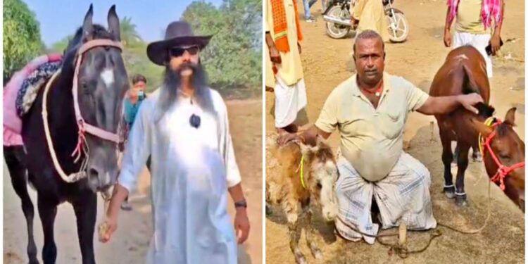 What’s Drawing Record Crowds to Sonepur Mela This Year? A Horse Parade Unlike Anything Seen Before