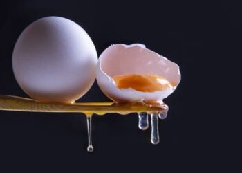 Do Eggs Actually Raise Cholesterol? What Experts Just Confirmed Will Surprise You