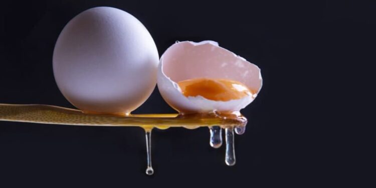 Do Eggs Actually Raise Cholesterol? What Experts Just Confirmed Will Surprise You