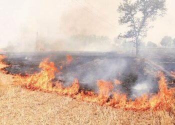 Air Quality Plunges in Bihar: Government to Launch FIR Drive Against Crop Burning