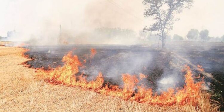 Air Quality Plunges in Bihar: Government to Launch FIR Drive Against Crop Burning