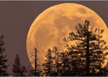 Cold Supermoon 2025: Night Sky to Shine Extra Bright as Final Supermoon of the Year Arrives Tonight