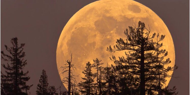Cold Supermoon 2025: Night Sky to Shine Extra Bright as Final Supermoon of the Year Arrives Tonight