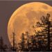 Cold Supermoon 2025: Night Sky to Shine Extra Bright as Final Supermoon of the Year Arrives Tonight