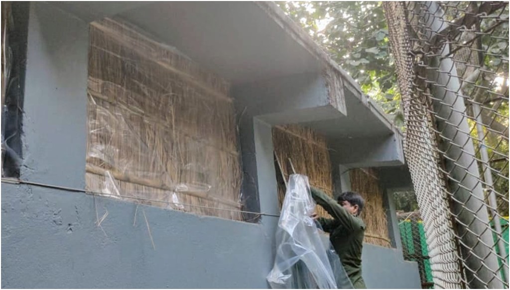 Patna Zoo’s Winter Care: Blankets for Pythons, Jaggery Pudding for Bears, and Mustard Oil Massages for Elephants 