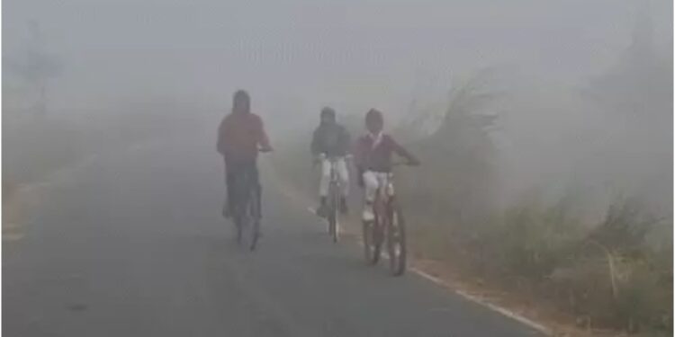 Dense Fog Causes Fatal Bike Crash in Banka as Cold Wave Alert Issued in Bihar