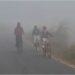 Dense Fog Causes Fatal Bike Crash in Banka as Cold Wave Alert Issued in Bihar