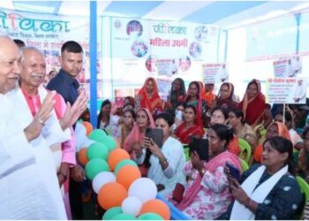 Bihar Government to Survey Women Earning Rs 60,000, Jeevika Didis Set for Another Boost