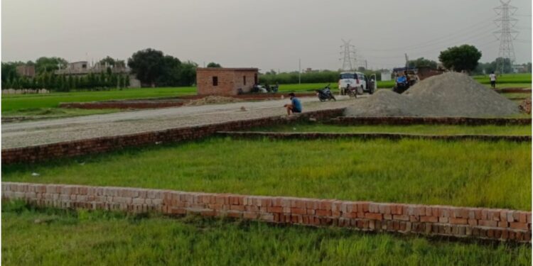 Bihar Land Prices Now Higher Than Gold, Silver and Diamonds: Check Rates Per Katha in Key Areas