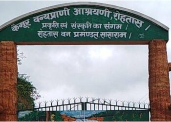 Kaimur Wildlife Sanctuary to Be Declared Tiger Reserve; Patna Zoo Ranks Fourth Among Large Zoos