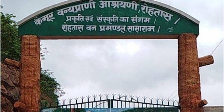 Kaimur Wildlife Sanctuary to Be Declared Tiger Reserve; Patna Zoo Ranks Fourth Among Large Zoos