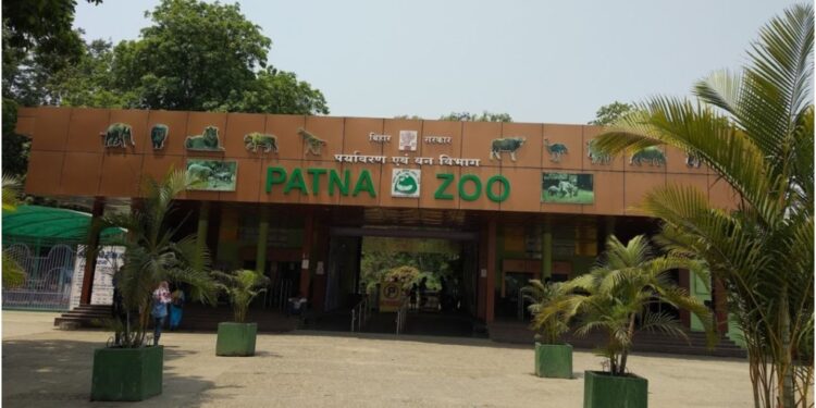 Tickets for New Year Now Open: Online Booking Begins at Patna Zoo, 10 Extra Counters to Operate on January 1