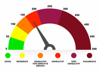 Dust And Disorder: Darbhanga Struggles with Rising Pollution and Civic Inaction