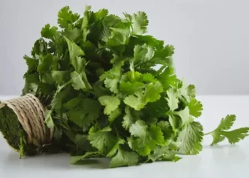 From Heart Health to Digestion: Why Coriander Matters More in Winter