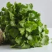 From Heart Health to Digestion: Why Coriander Matters More in Winter
