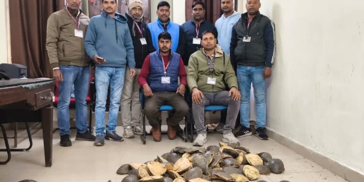 RPF Seizes 102 Live Turtles From Doon Express in Gayaji, Second Haul in a Week