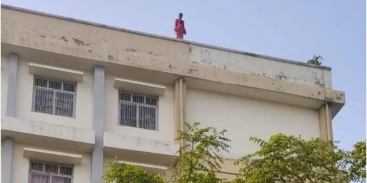 Woman Climbs Court Roof After Lover’s Betrayal, FIR Filed for Disrupting Proceedings