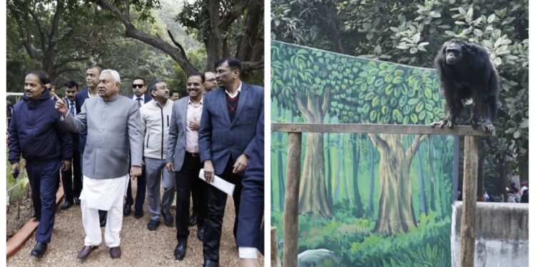 Bihar CM Nitish Kumar Visits Patna Zoo, Names Newborn Zebra Foal and Urges Faster Development