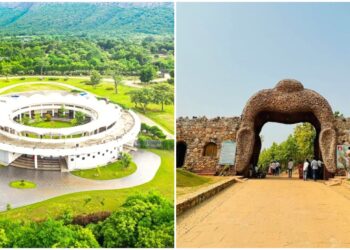 Migratory Birds Make Rajgir Zoo Safari a Winter Favourite for Tourists
