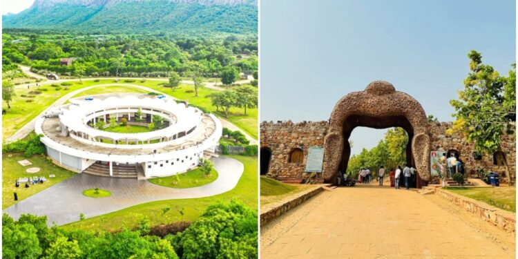 Migratory Birds Make Rajgir Zoo Safari a Winter Favourite for Tourists