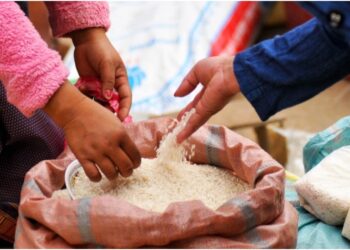 Kishanganj DM Urges Quick Aadhaar Update as Thousands Risk Losing Ration Benefits