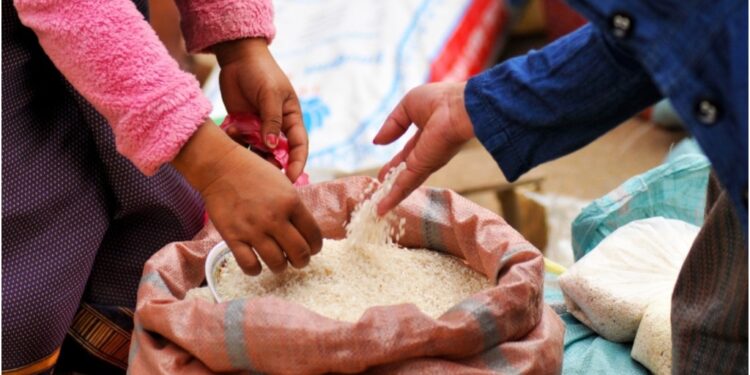 Kishanganj DM Urges Quick Aadhaar Update as Thousands Risk Losing Ration Benefits