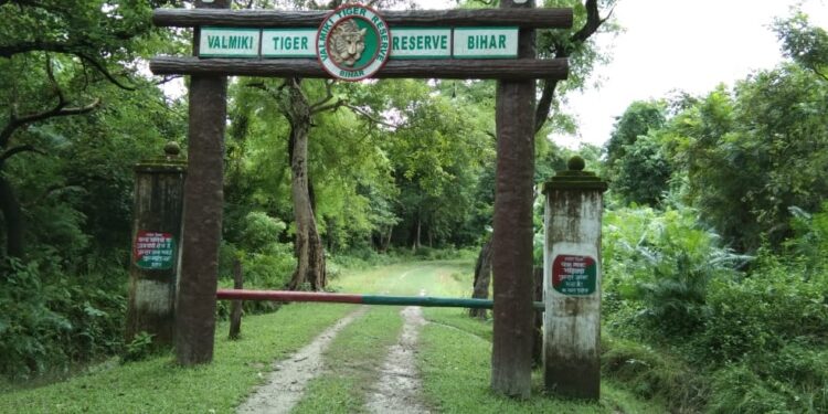Wild Beauty of Valmiki Tiger Reserve Wins Foreign Hearts