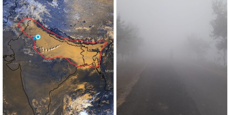 Dense Fog and Cold Days to Grip Bihar Until January 3 as Orange Alert Continues