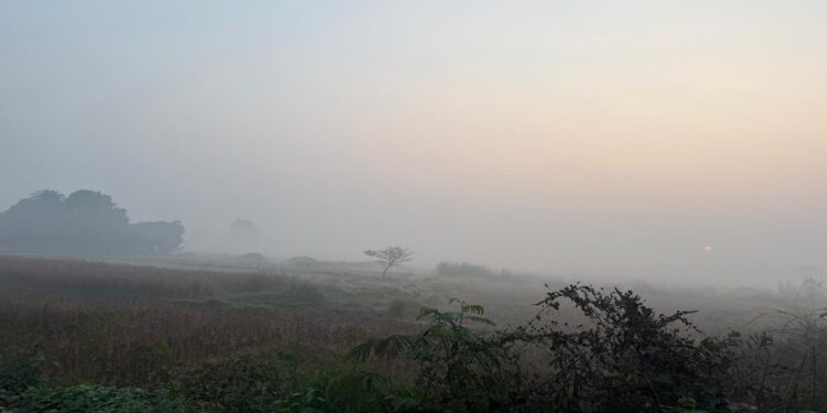 North Bihar Under Fog Alert Amid Cool Mornings And Clear Days