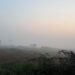 North Bihar Under Fog Alert Amid Cool Mornings And Clear Days