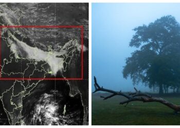 New Year Forecast: Severe Cold and Dense Fog Likely to Persist in Bihar for another Week
