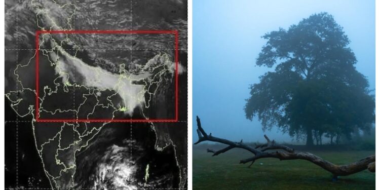 New Year Forecast: Severe Cold and Dense Fog Likely to Persist in Bihar for another Week