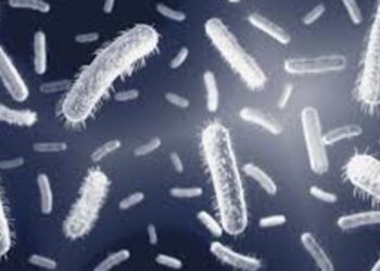 Breakthrough In Bihar: Microbe Identified That Eats Hard-To-Degrade Plastic