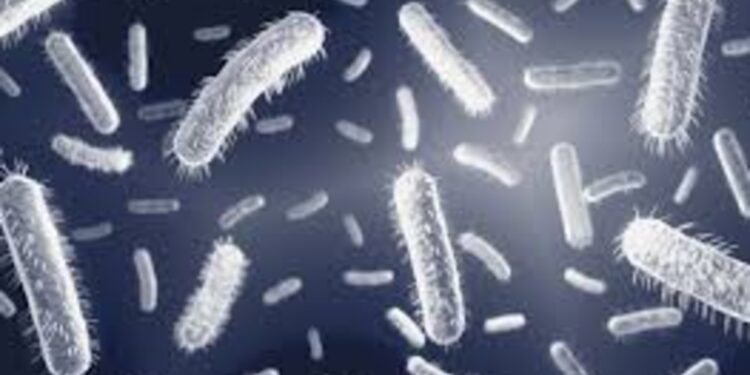 Breakthrough In Bihar: Microbe Identified That Eats Hard-To-Degrade Plastic