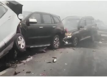 Dense Fog Turns Bihar Roads Deadly, Leaves One Dead and Many Injured