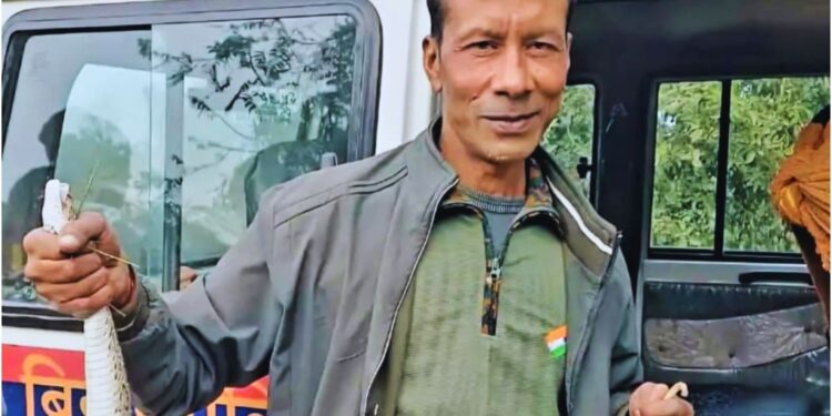 Khagaria Villagers Breathe Easy After Asia’s Deadly Russell’s Viper is Captured