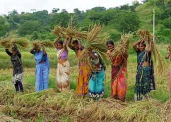 Indian Government Moves to Replace MGNREGA With New 125-Day Rural Jobs Guarantee