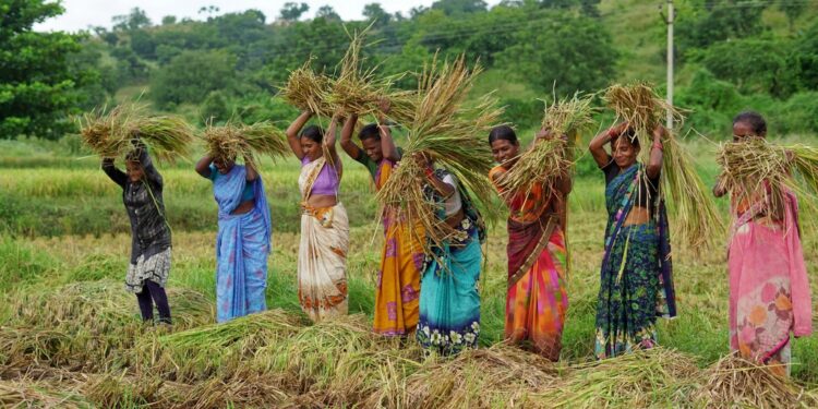 Indian Government Moves to Replace MGNREGA With New 125-Day Rural Jobs Guarantee