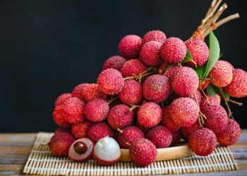From Waste to Fodder: Bihar Develops Nutritious Feed from Lychee By-Products