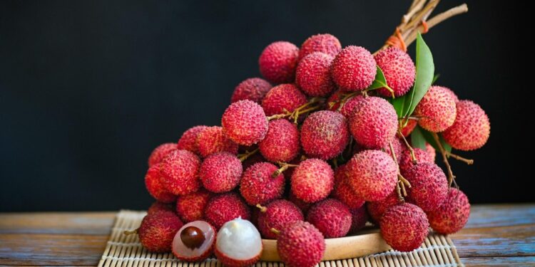 From Waste to Fodder: Bihar Develops Nutritious Feed from Lychee By-Products